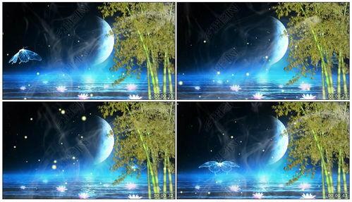 月光爆料最新视频下载  第3张